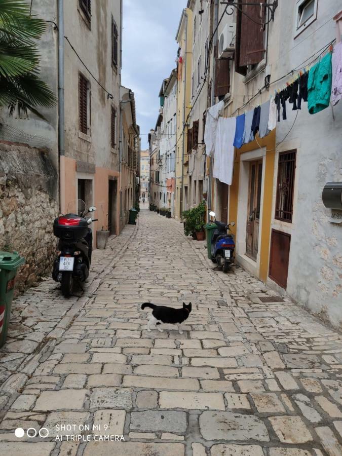Rovinj Holiday Extérieur photo